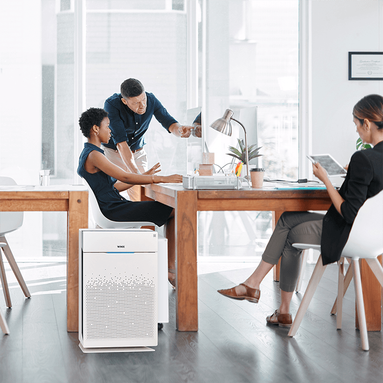 Luftreiniger WINIX ZERO PRO