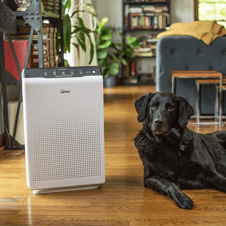 Luftreiniger WINIX ZERO